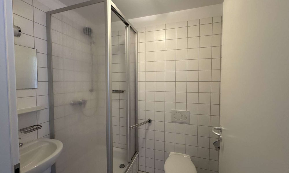 Helle Dachgeschoss-Wohnung im Herzen von Halle - Foto 1