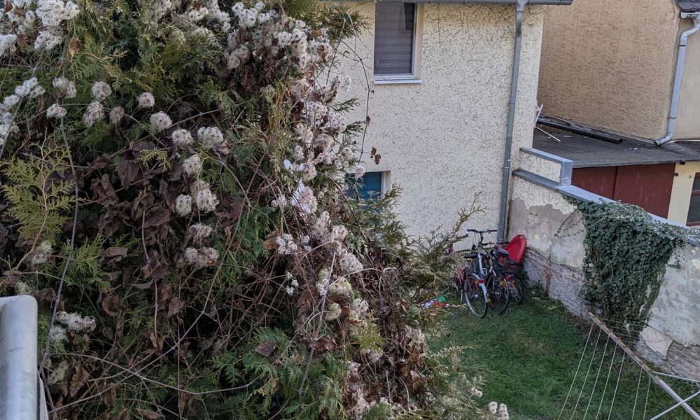 PXL_20260105_144440242