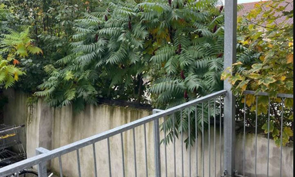 Charmante 2-Raum-Wohnung mit Balkon - Foto 3
