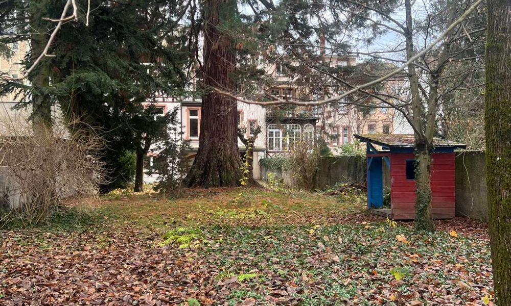 4-Zimmer-Altbau-Wohnung – frisch saniert – incl. Einbauküche + KAMIN - Photo 5