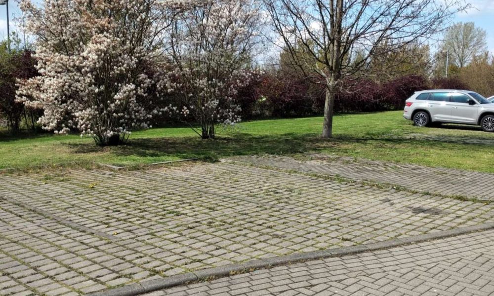 Perfekt für Pendler, Azubis, Singles – Moderne 1-R-WE m. Aufzug, Balkon und EB-Küche ab sofort - Photo 5
